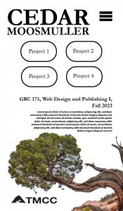 project_1_prelim_1-02.jpg