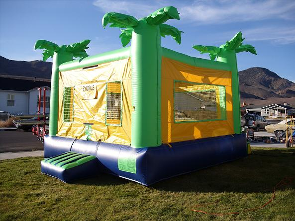 picture of bouncehouse