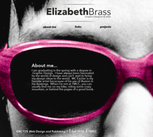 Elizabeth Brass Project1_GRC 175