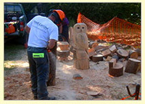 Chainsaw sculptor chiseling an owl from wood