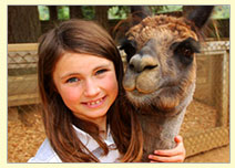 Child holding animal