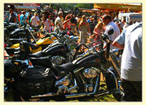 Crowd looking at line of motorcycles