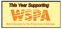 WSPA Advertisement