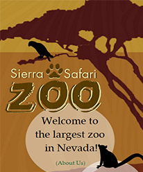 Image of a revised web site for Sierra Safar Zoo, created by Dominique Boudinot