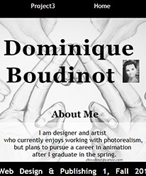 Image of the home page for Dominique Boudinot