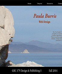 Image of the home page for Paula Burris