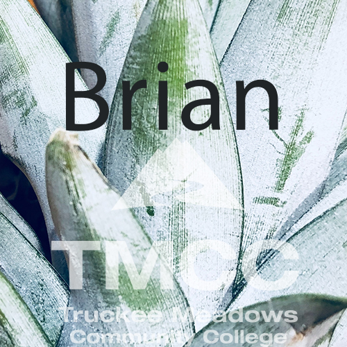 Pineapple with glasses with the name Brian on top, plus tmcc logo.