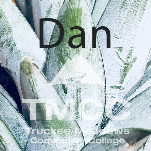 Pineapple with glasses with the name Dan on top, plus tmcc logo.