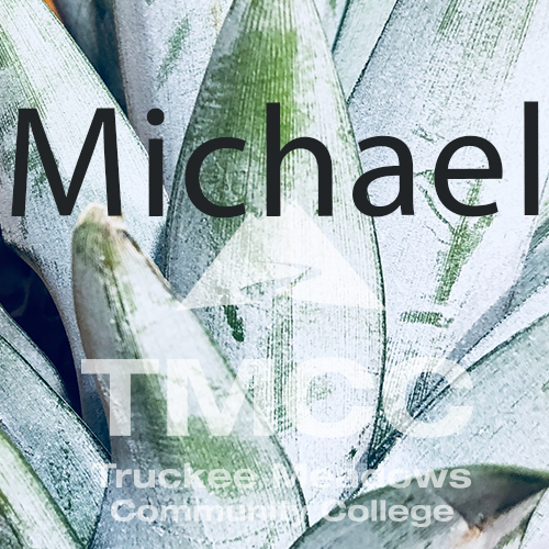 Pineapple with glasses with the name Micheal on top, plus tmcc logo.