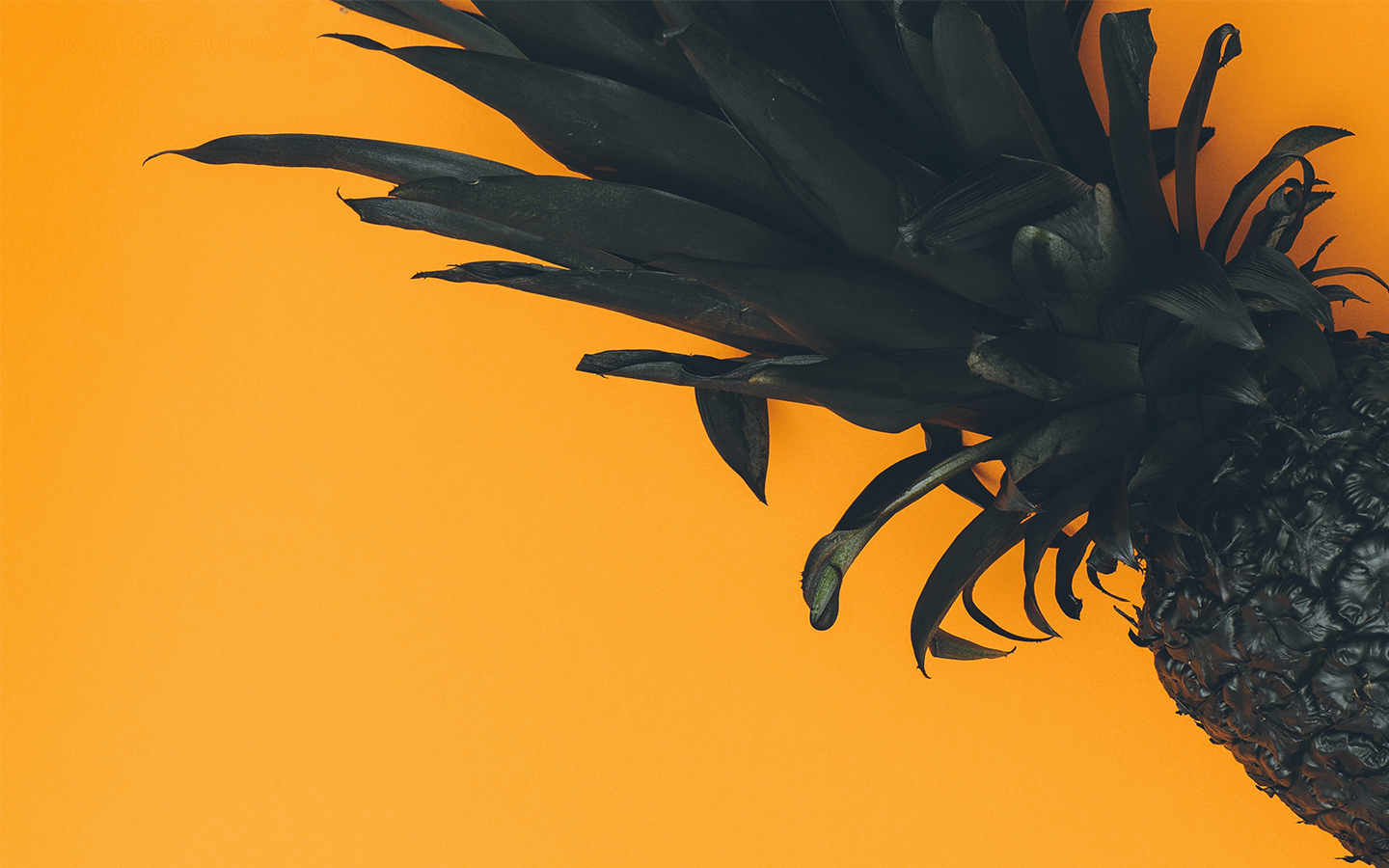 Black pineapple on bright orange background.