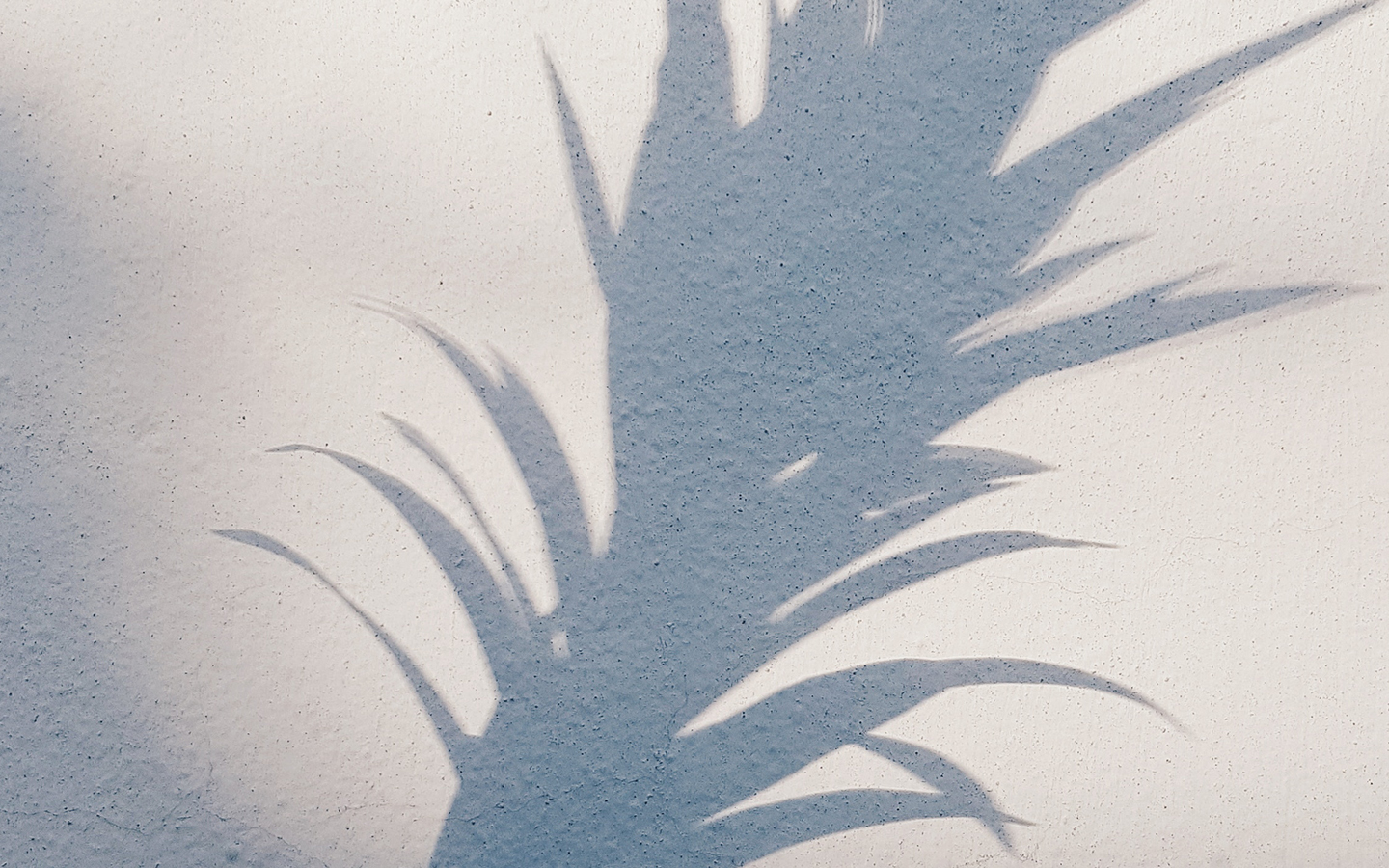 Shadow of pineapple on a white wall.