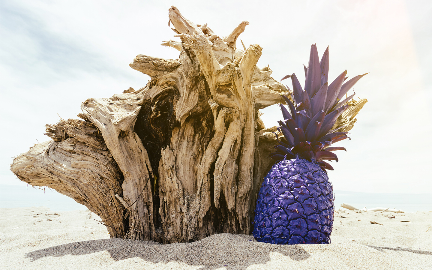 Purple pineapple on sandy beach with a log behind.