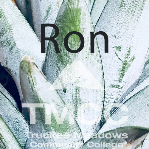 Pineapple with glasses with the name Ron on top, plus tmcc logo.