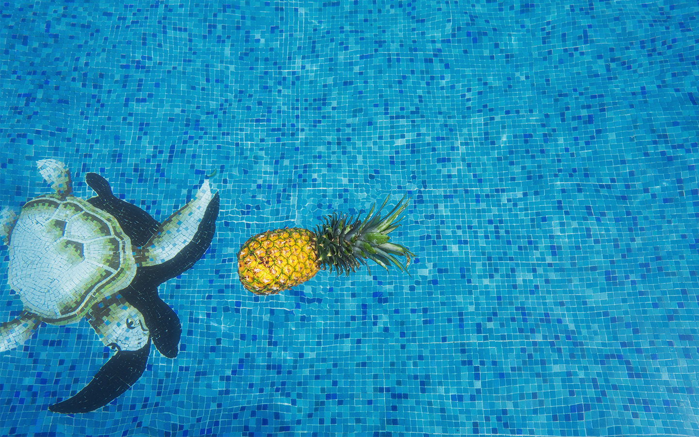 Turtle and pineapple swimming together in a pool.