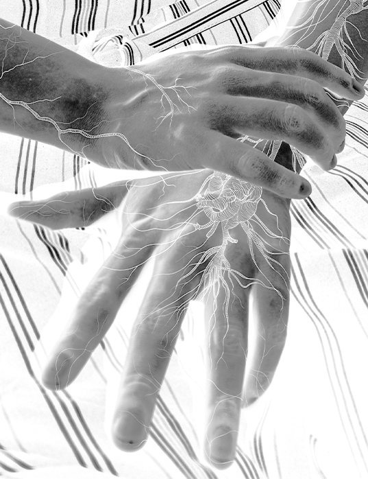 inverted image of hands overlapped on lap with an a line art design on top of the hands