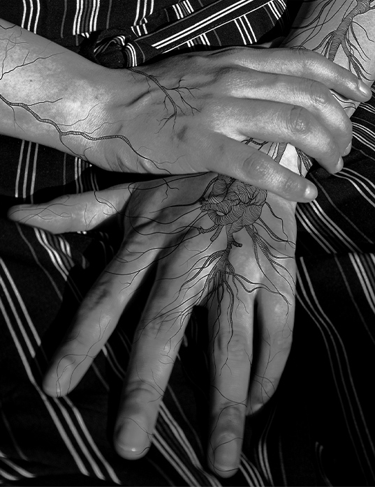 an image of hands overlapped on lap with an a line art design on top of the hands