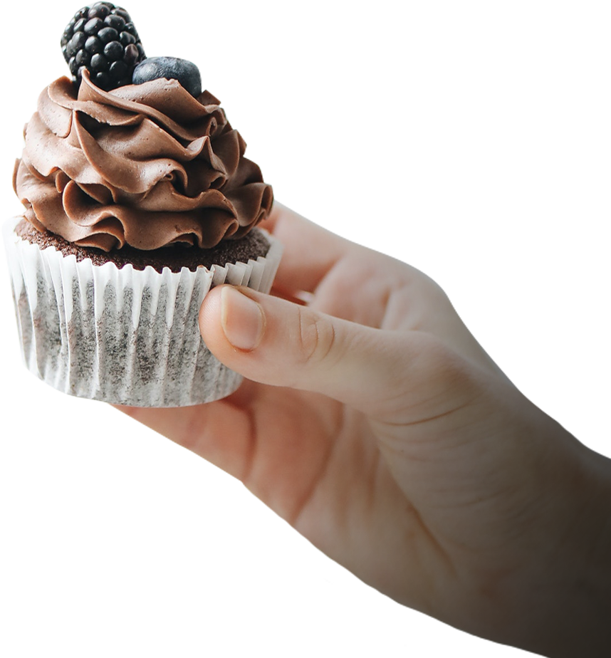 image of someone holding brown chocolate cupcake