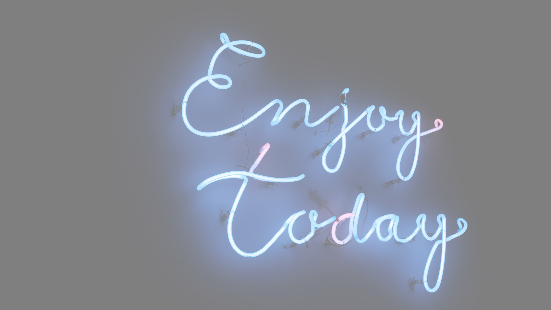 this is a neon sign that says enjoy today