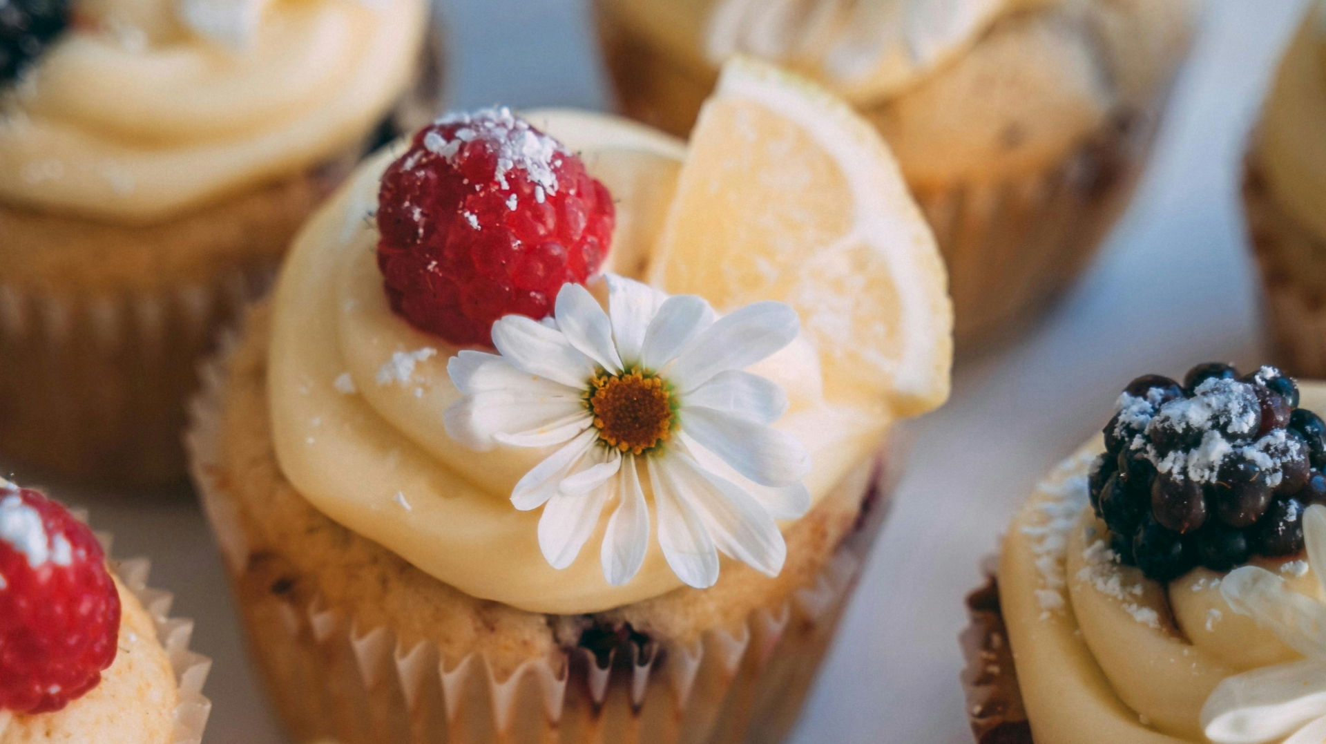 yellow cupcake with a slice if lemon, reberry and a white flower on top