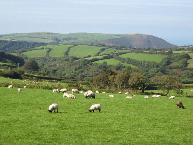 English Countryside