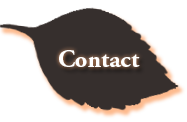 contact button