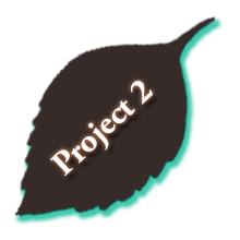 project 2 button