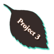 project 3 button