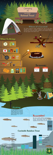 Camping Infographic