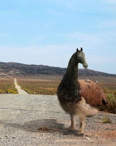 animal hybrid in desert by Joe Morales